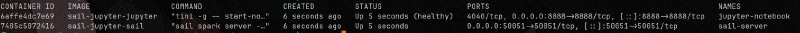 zarpando-con-sail-entorno-limpio-con-docker-jupyter-y-rustrover-img-312.png